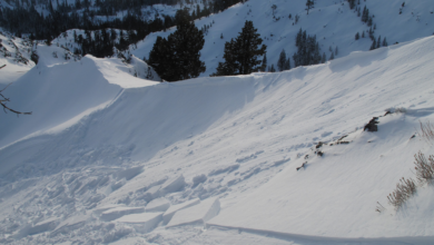 Photo of Сход снежной лавины в Альпах