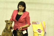 Photo of Новости Ростова-на-Дону: горожане протестуют против повышения тарифов на коммунальные услуги