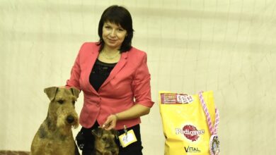 Photo of Новости Ростова-на-Дону: горожане протестуют против повышения тарифов на коммунальные услуги