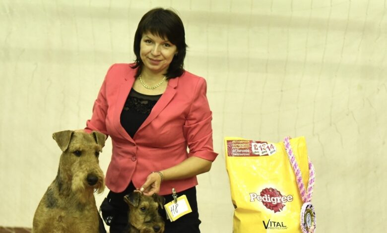 Photo of Новости Ростова-на-Дону: горожане протестуют против повышения тарифов на коммунальные услуги