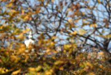 Photo of зрыв в торговом центре в Пекине