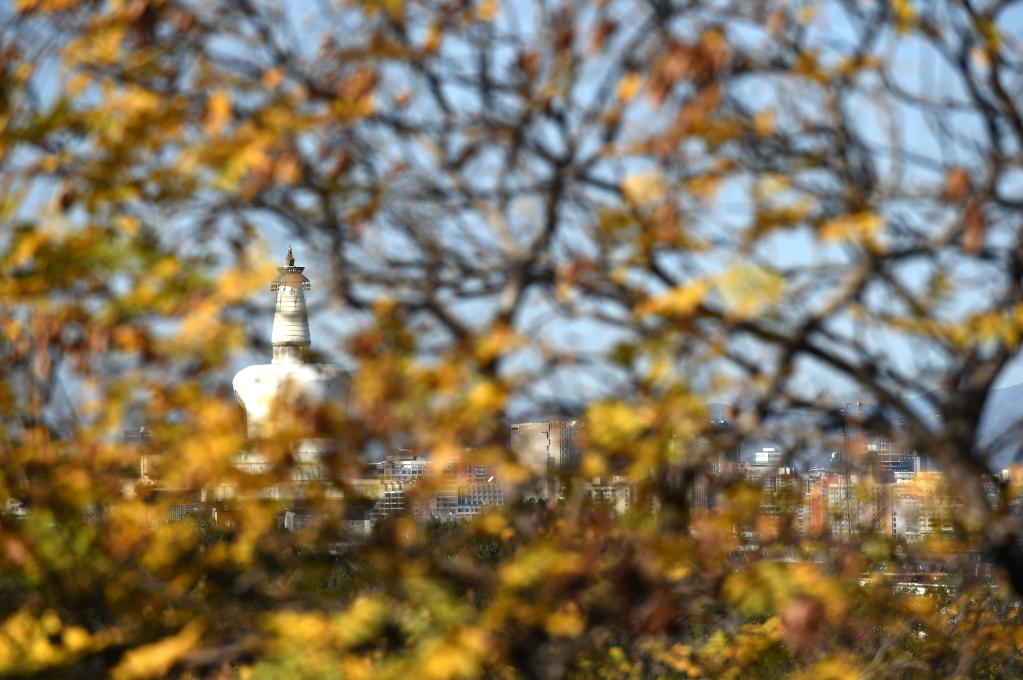 Фото 55 — зрыв в торговом центре в Пекине
