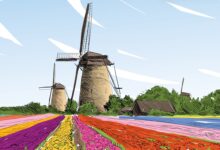 Photo of Фестиваль праздника цветов в Голландии: тюльпаны во всей красе