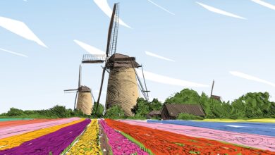 Photo of Фестиваль праздника цветов в Голландии: тюльпаны во всей красе