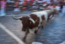 Photo of Фестиваль быков в Памплоне: экстремальное событие для смельчаков