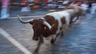 Photo of Фестиваль быков в Памплоне: экстремальное событие для смельчаков
