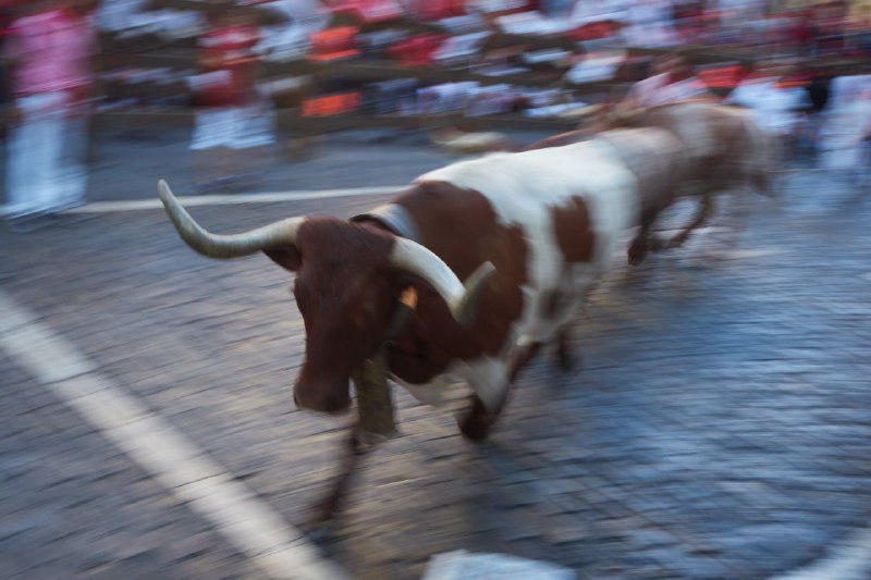 Фестиваль быков в Памплоне: экстремальное событие для смельчаков